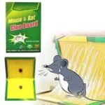 Premium Mouse & Rat Sticky Glue Trap Board | Powerful Pest Control Solution for Home & Office – Altutan - Image 3