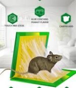 Pack Of 10 Pasban Expert Rat Killer Mouse Catcher Glue Board Catch Trap Glue Book Mat Pad Mouse Catcher Glue Sticky Mouse Pad Traps Mouse Catcher Mice Professional Strength Glue and Foldable Cardboard ( Pack Of 10 / 5 / 4 / 3 / 2 / Book - Image 3