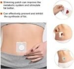 Chinese Weight Loss Navel Sticker 10 Pcs Herbal Slimming Belly Patch - Image 2