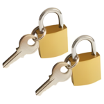 Mini Brass Padlock with Keys Small Security Lock for Bag & Locker